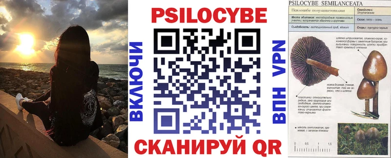 Купить  Трёхгорный  Псилоцибиновые грибы Cubensis 